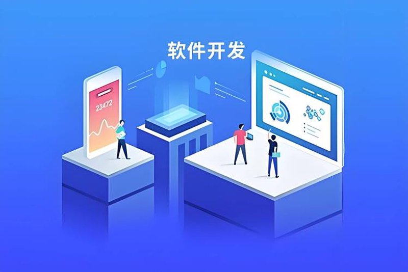 定制开发软件：企业成长的催化剂